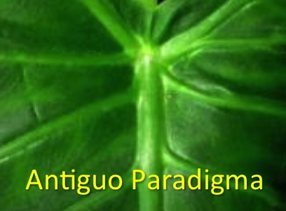 Antiguo_paradigma